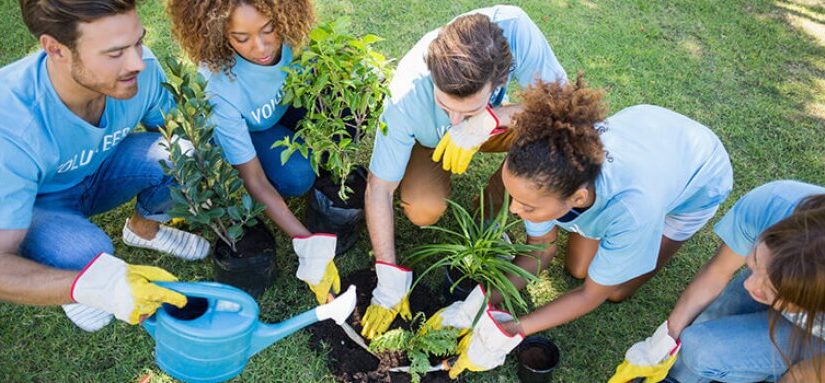 Want To Encourage Volunteering? Follow The Necessary Points Illustrated!